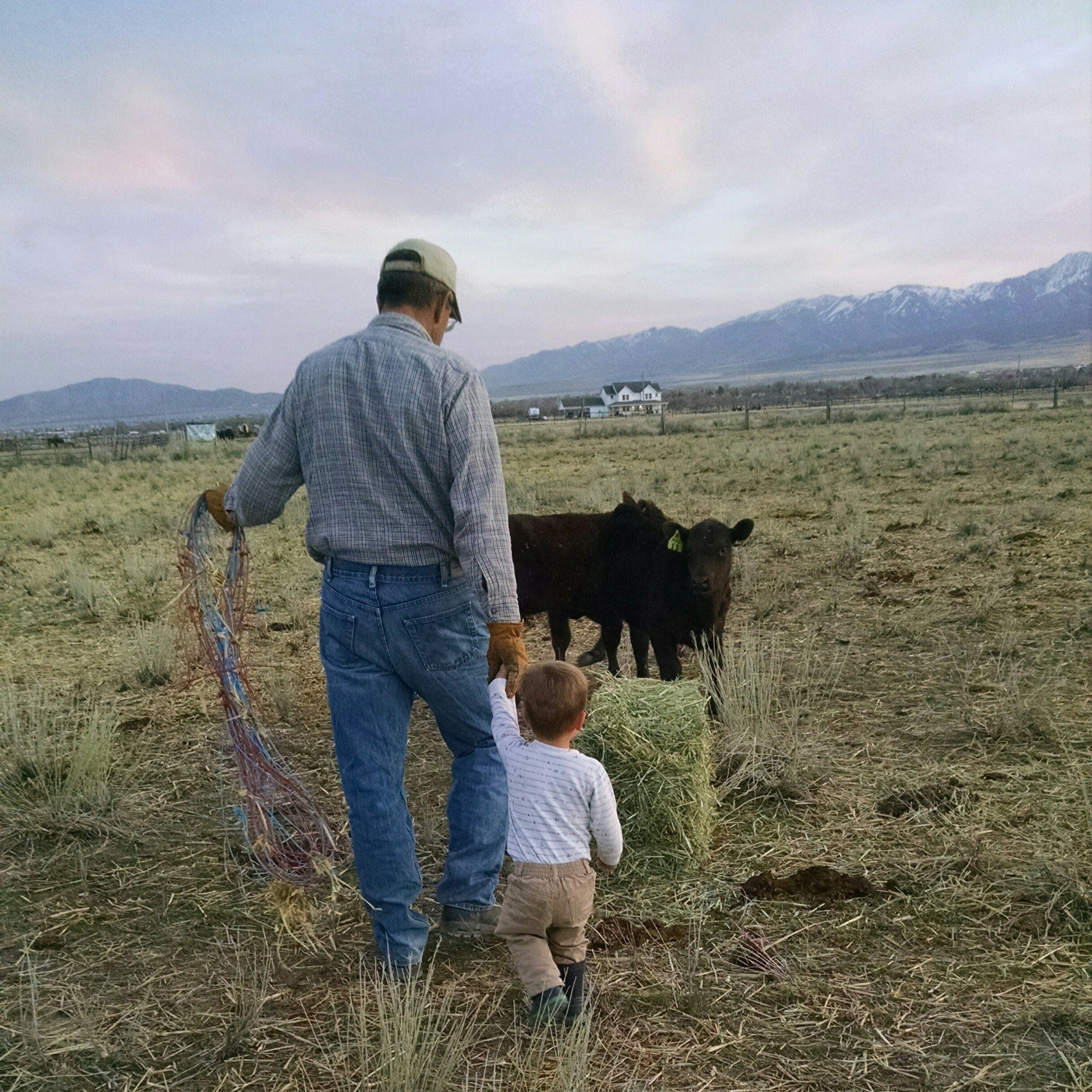A farmer and a young child walking together in a pasture, carrying hay for cattle. The landscape features mountains in the background and a farmhouse in the distance, highlighting rural life and agriculture.